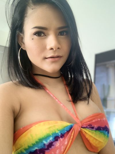 Middle Eastern Escort in Stamford Connecticut