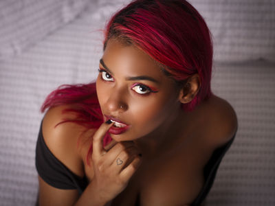 What's New Escort in Edinburg Texas