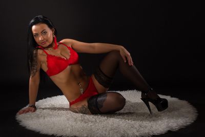 Gay Escort in Fayetteville North Carolina