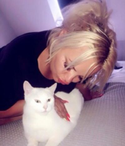 Incall Escort in Vacaville California
