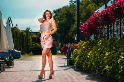 Incall Escort in Springfield Illinois