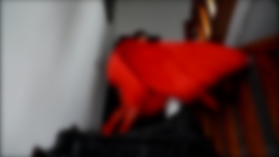 Super Booty Escort in Oklahoma City Oklahoma