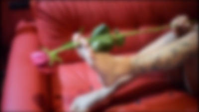 Super Busty Escort in Carmel Indiana