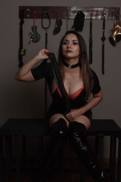 Agencies Escort in Warren Michigan
