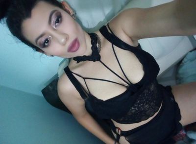 What's New Escort in Port St. Lucie Florida
