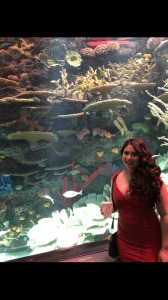 Silva Simental - Baby Oxford, United Kingdom