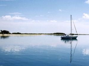 Kevin Hairston - Daddy Visalia, USA