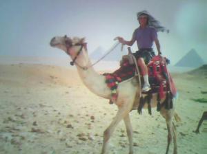 Kevin Sample - Daddy Phoenix, USA